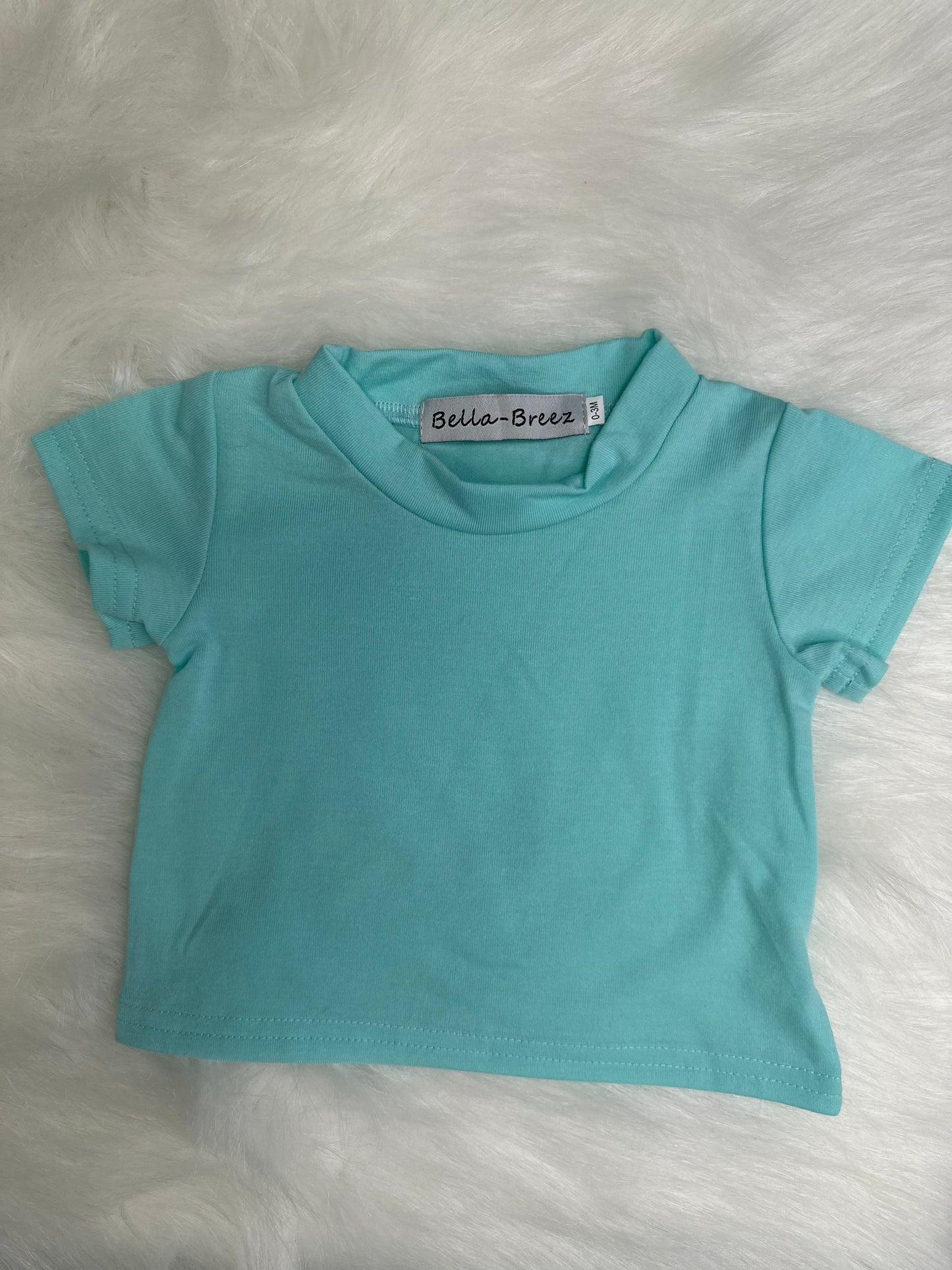 Blank T-Shirt (Multiple Colors) (FINAL SALE)
