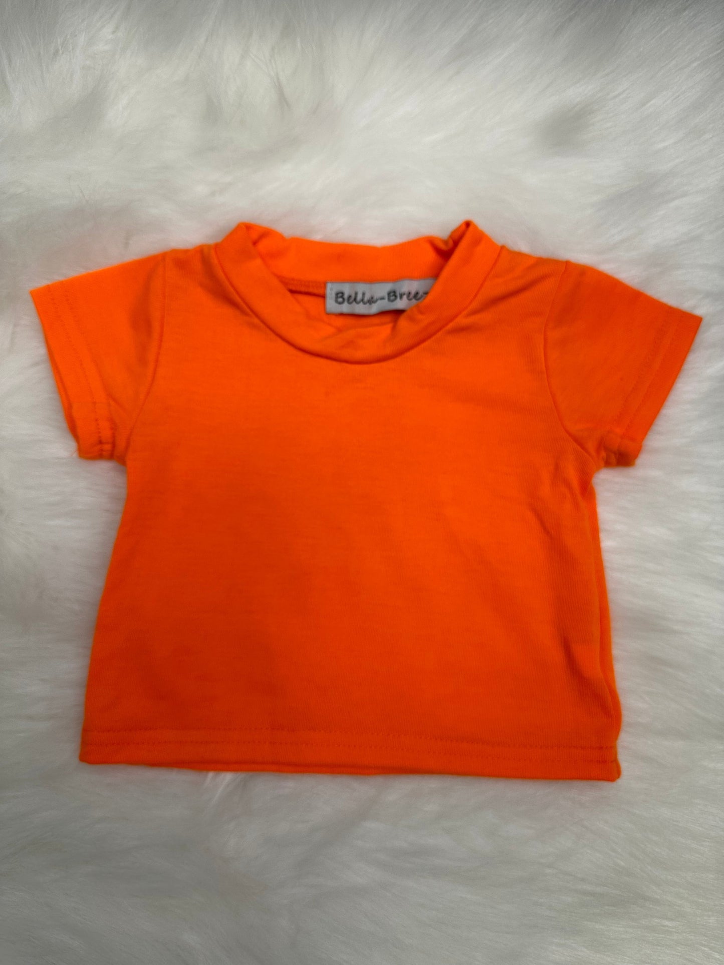 Blank T-Shirt (Multiple Colors) (FINAL SALE)