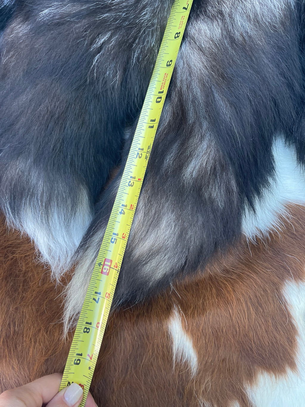 Natural 16” Fox Tail Accessories