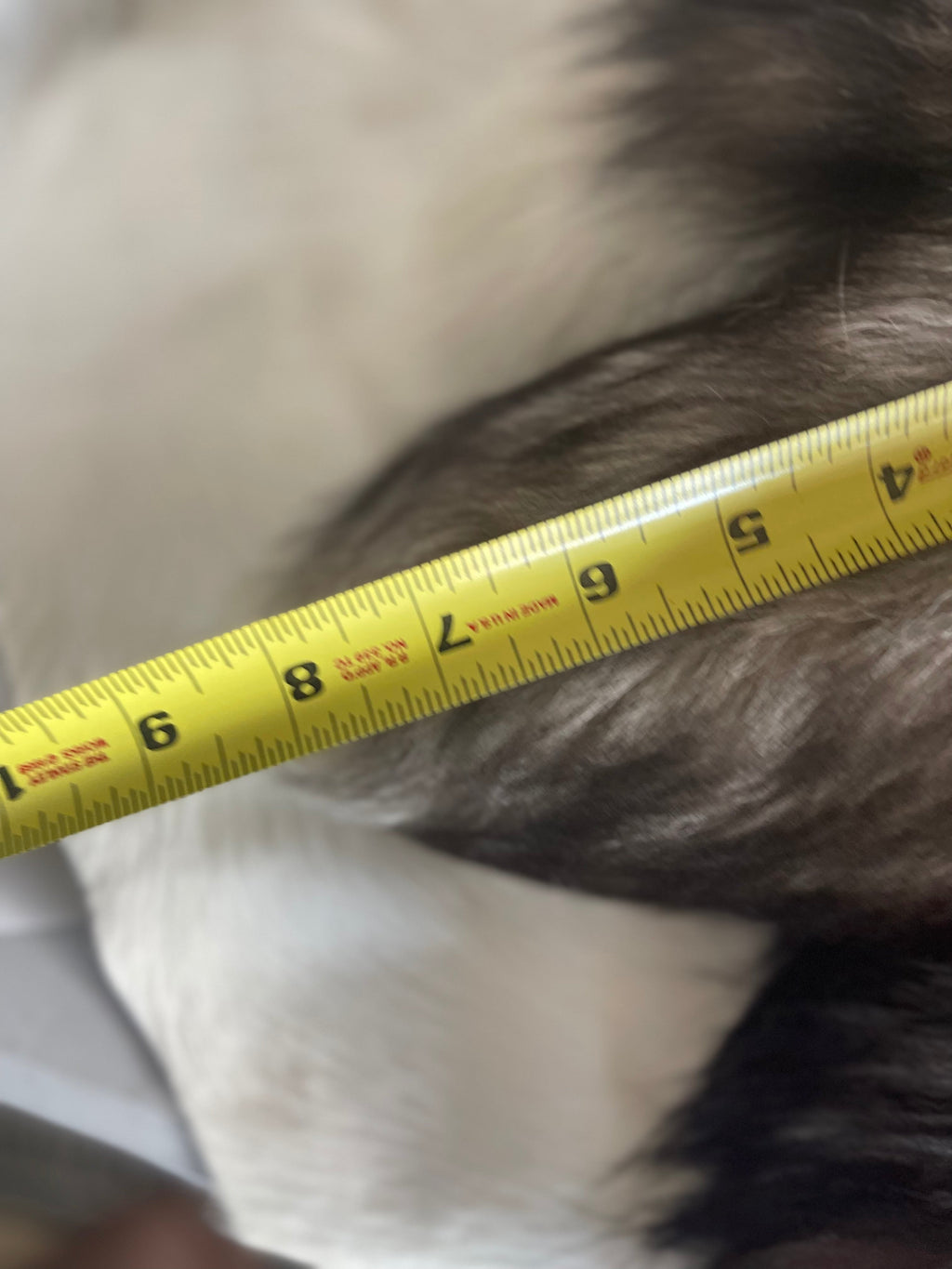 Assorted Short Fox Tail Keychains