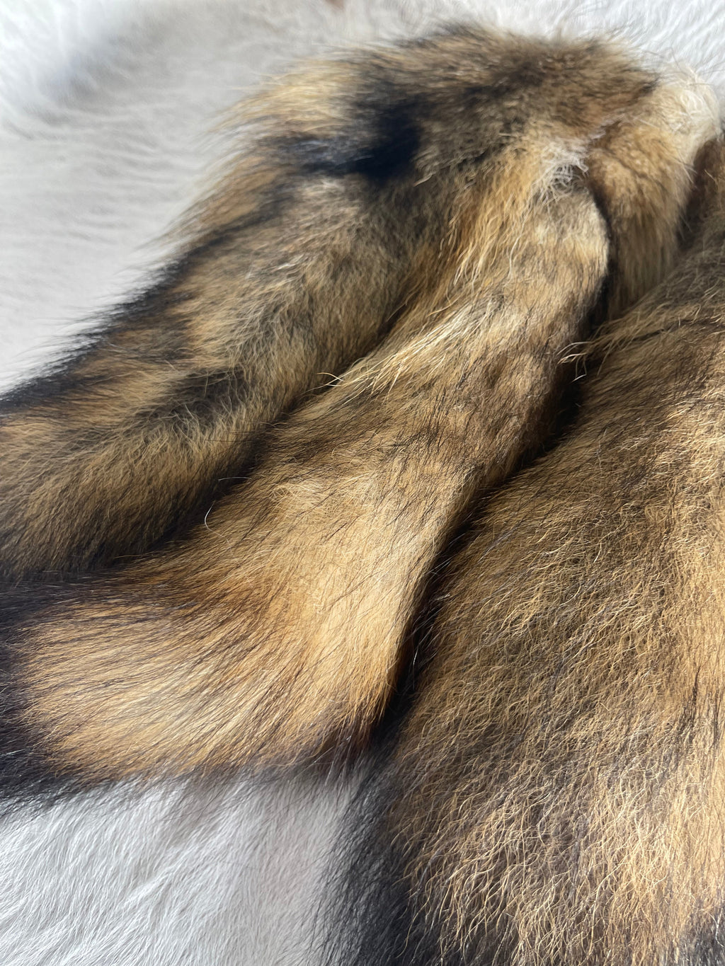 Coyote Tail Keychain