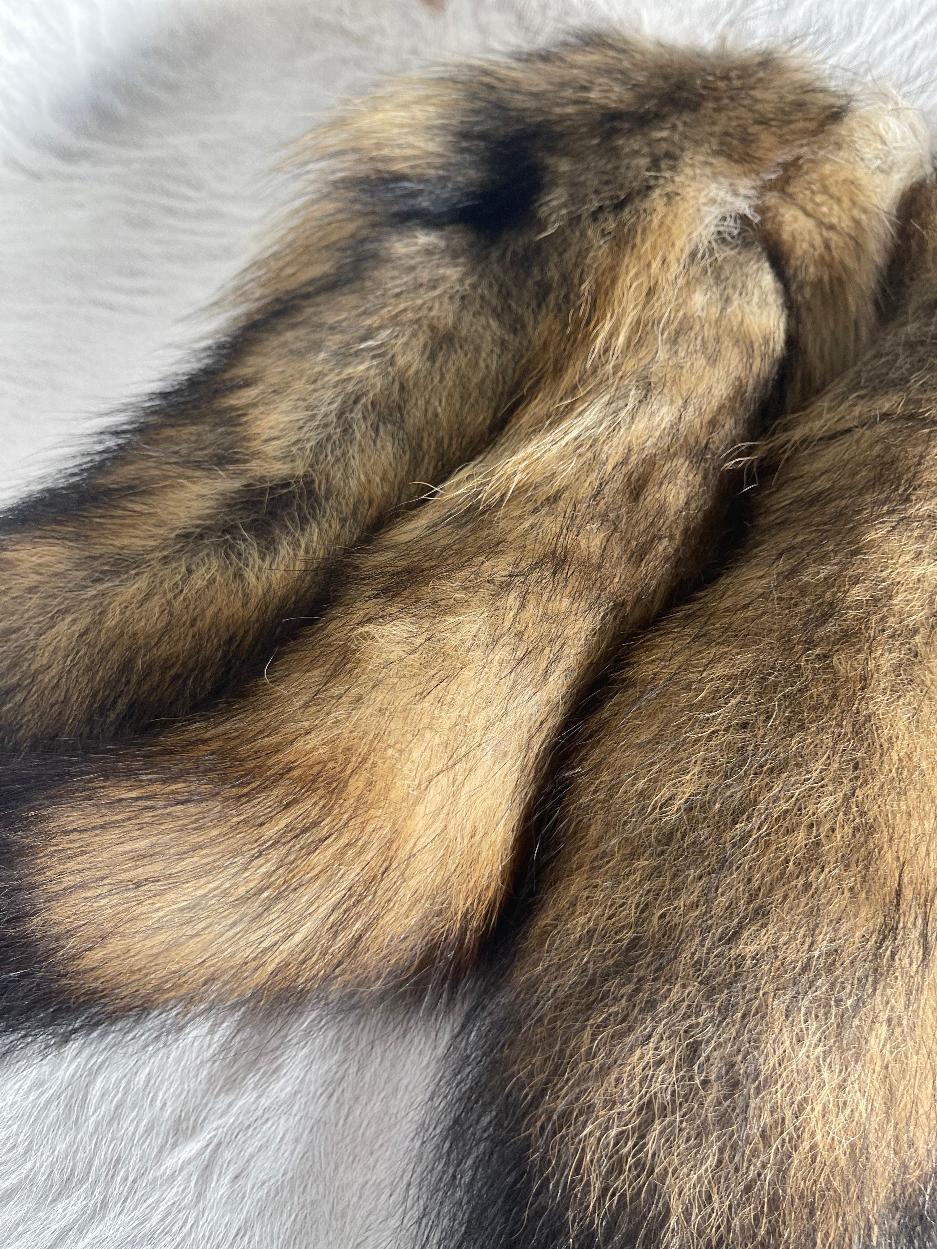 Coyote Tail Keychain