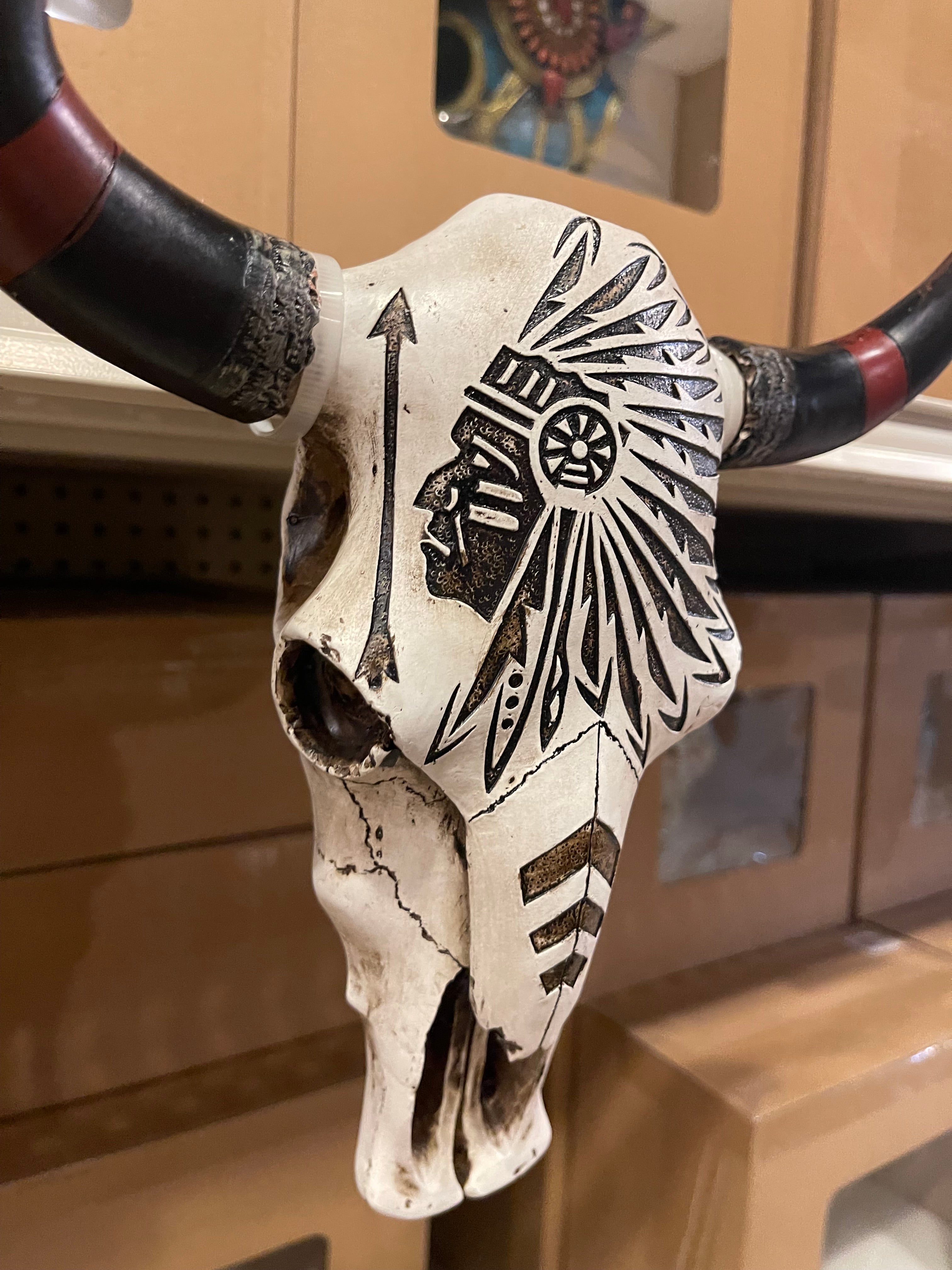 Black & White Native Chief Cowskull Wall Decor