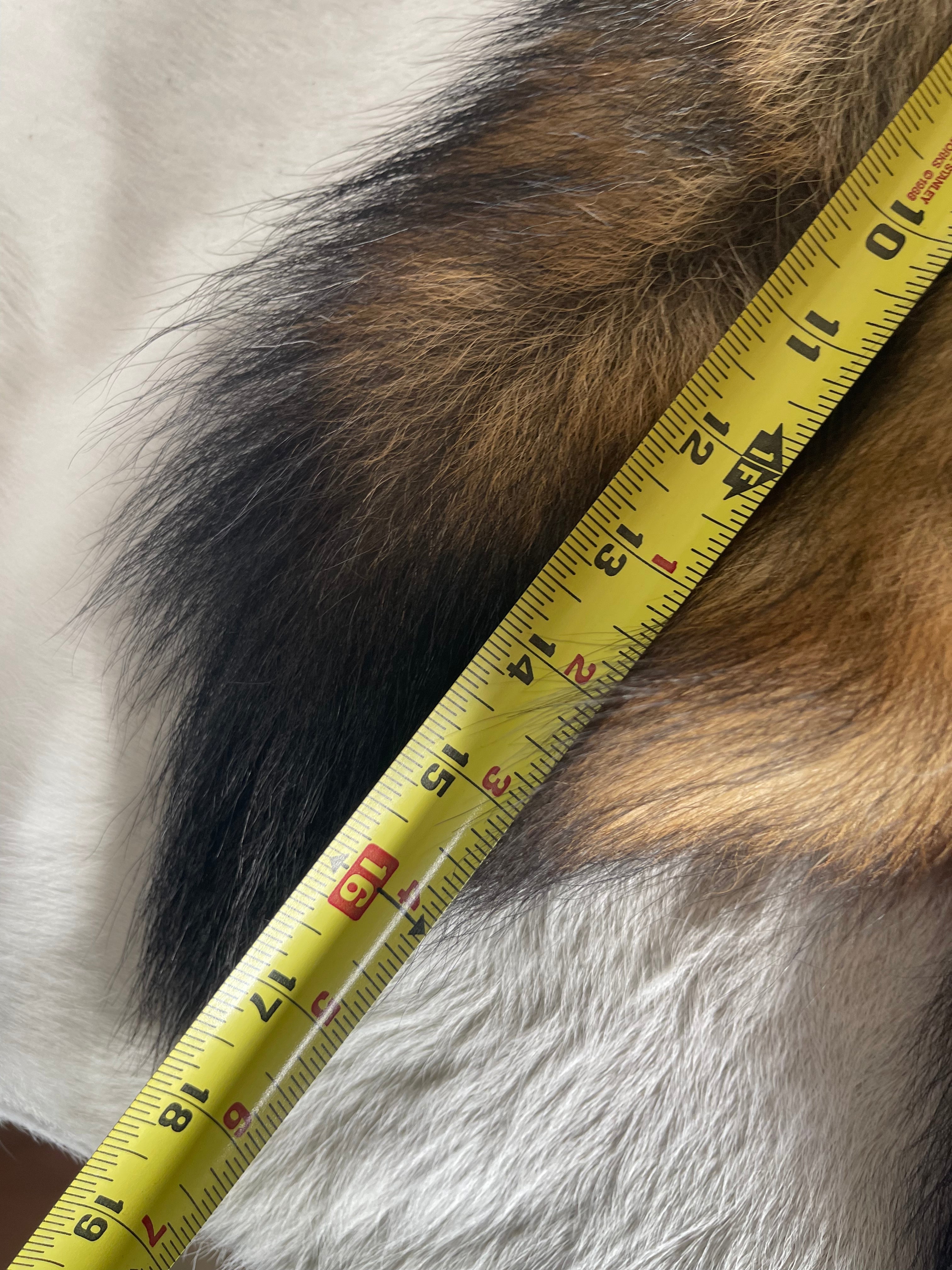 Coyote Tail Keychain