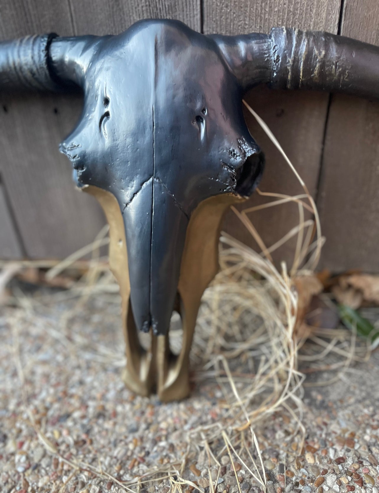 Maximus Black & Gold Cowskull