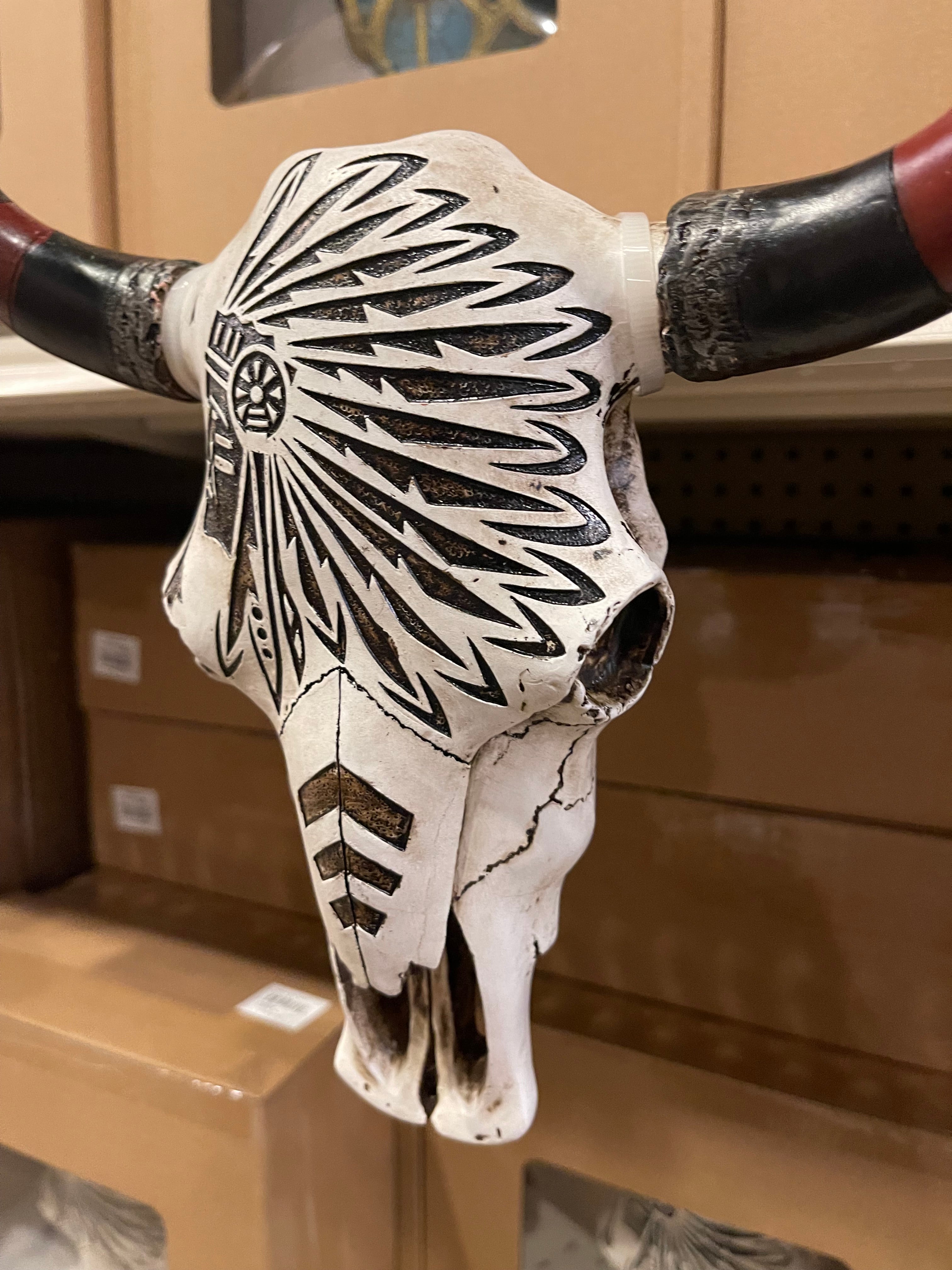 Black & White Native Chief Cowskull Wall Decor