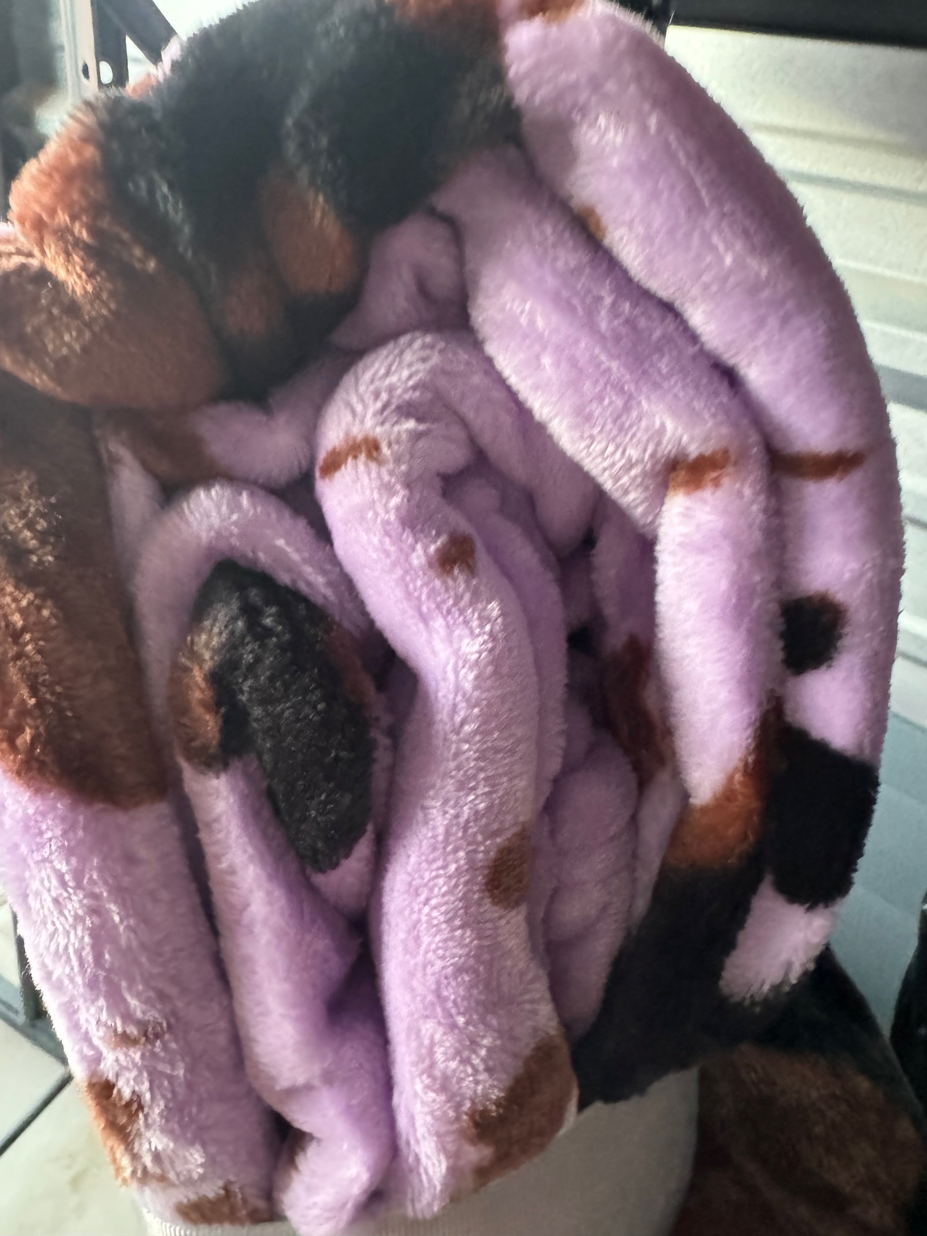 Light Purple Cow Print Queen Blanket