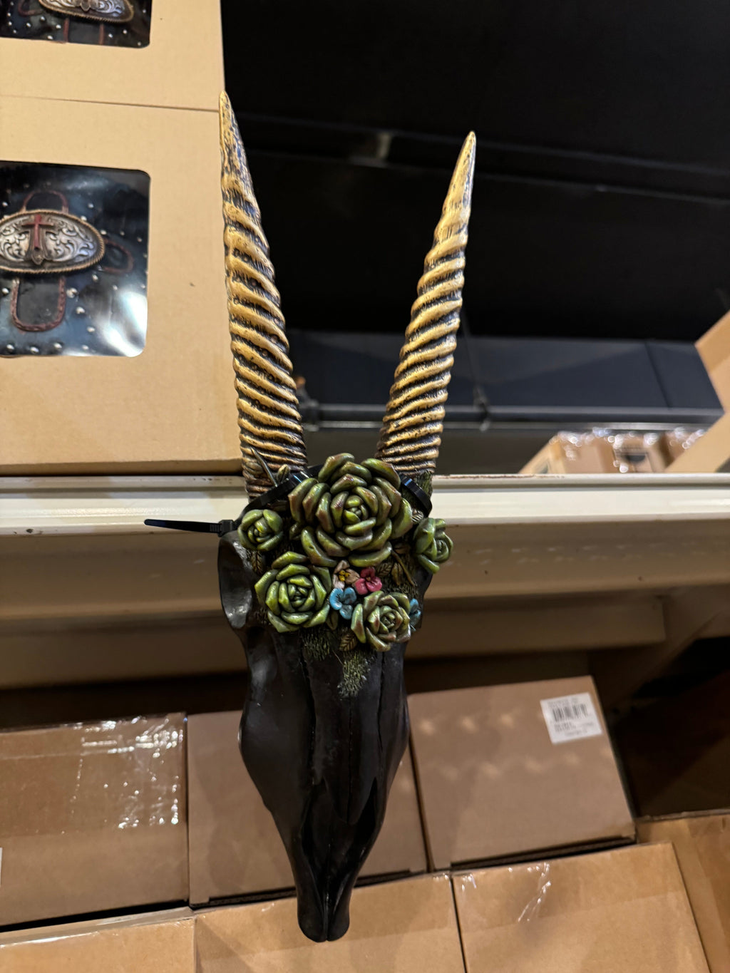 Black Floral Succulent Skull