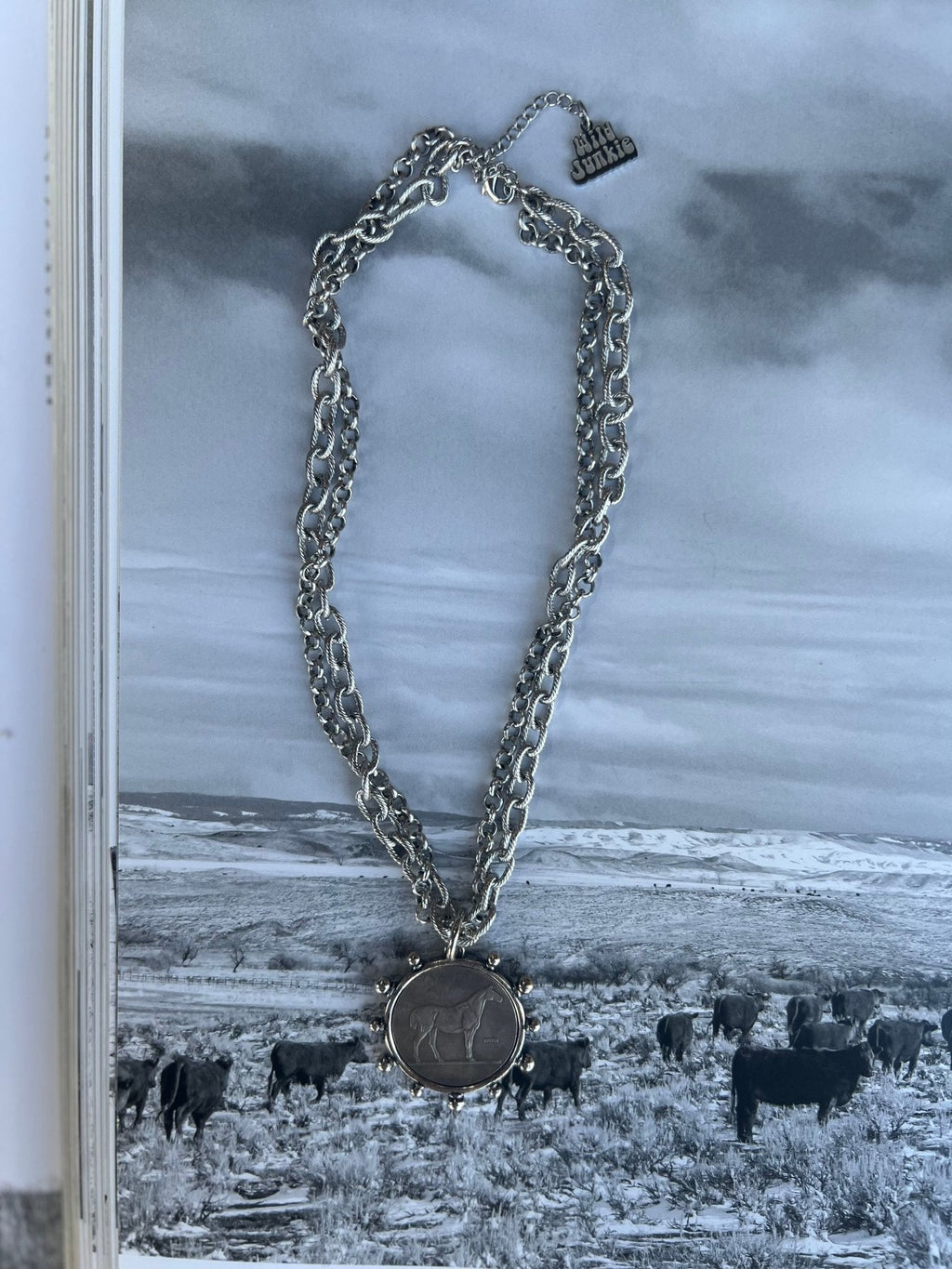 Silver Horse Coin Double Chain Necklace