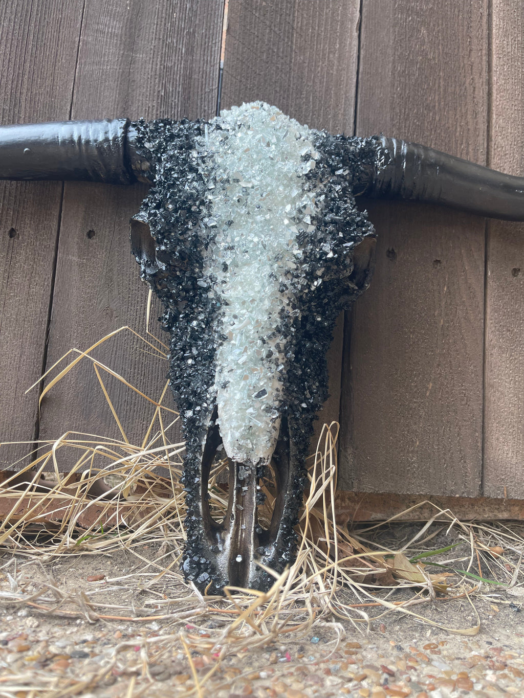 M Night Custom Cowskull - Message to Order