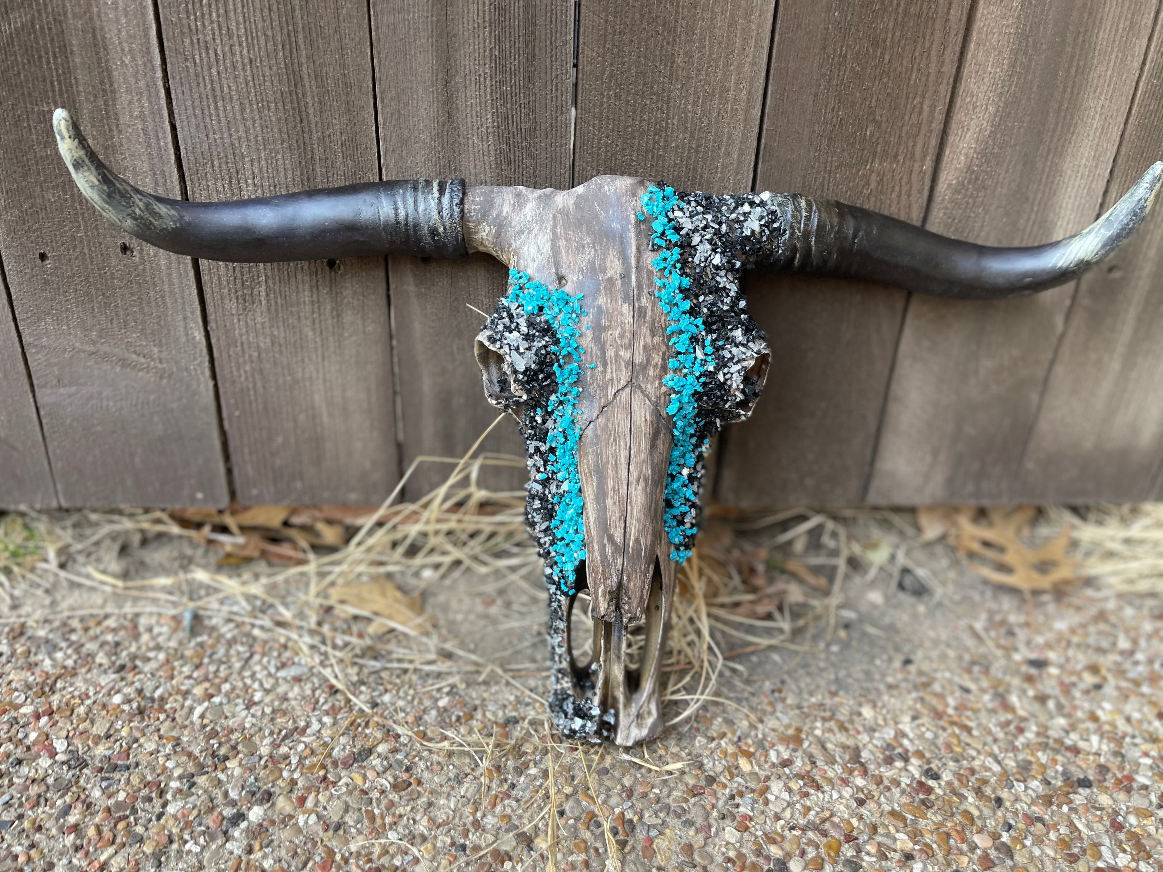 Turqouise Cowboy Cowskull