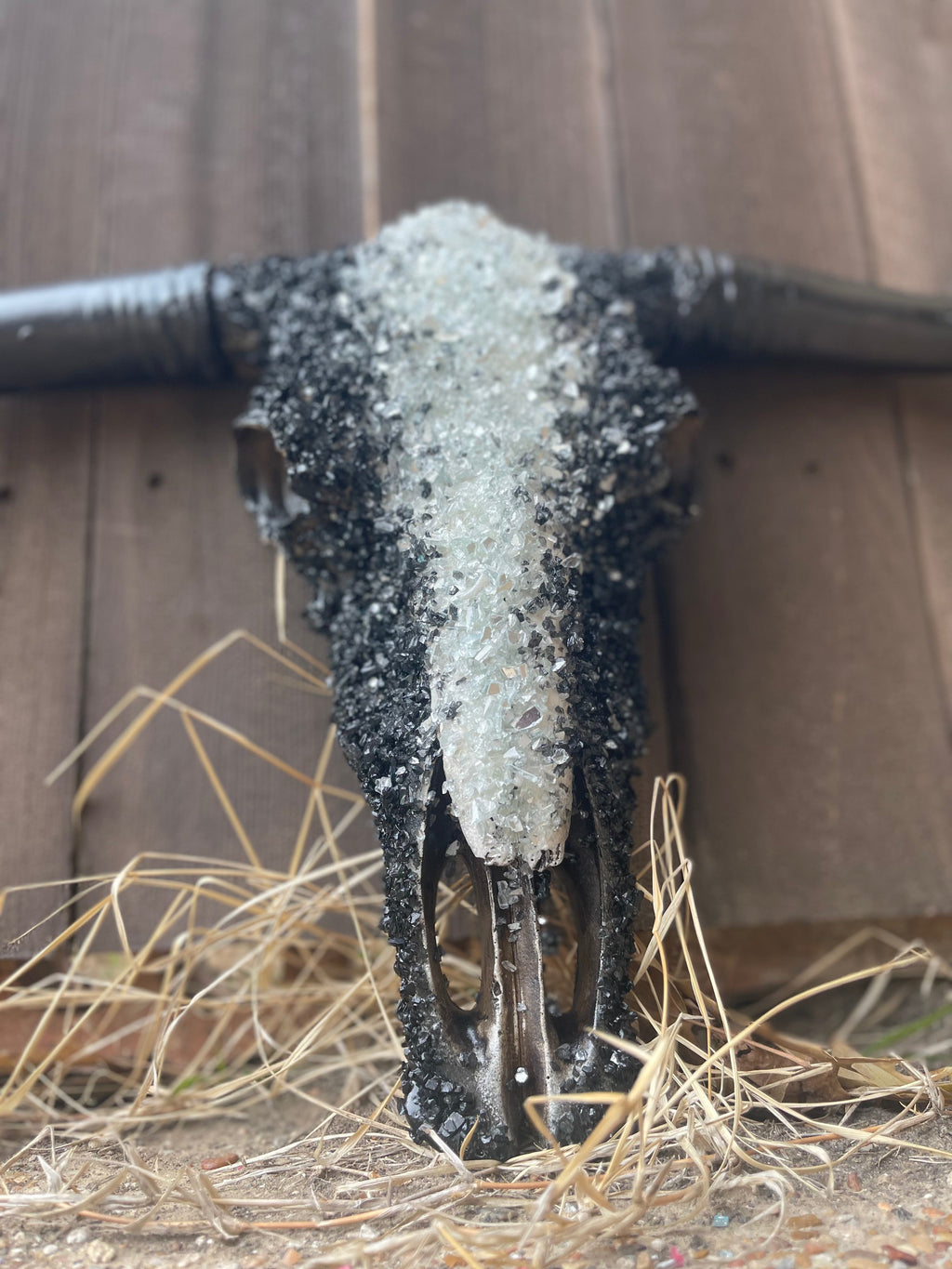 M Night Custom Cowskull - Message to Order