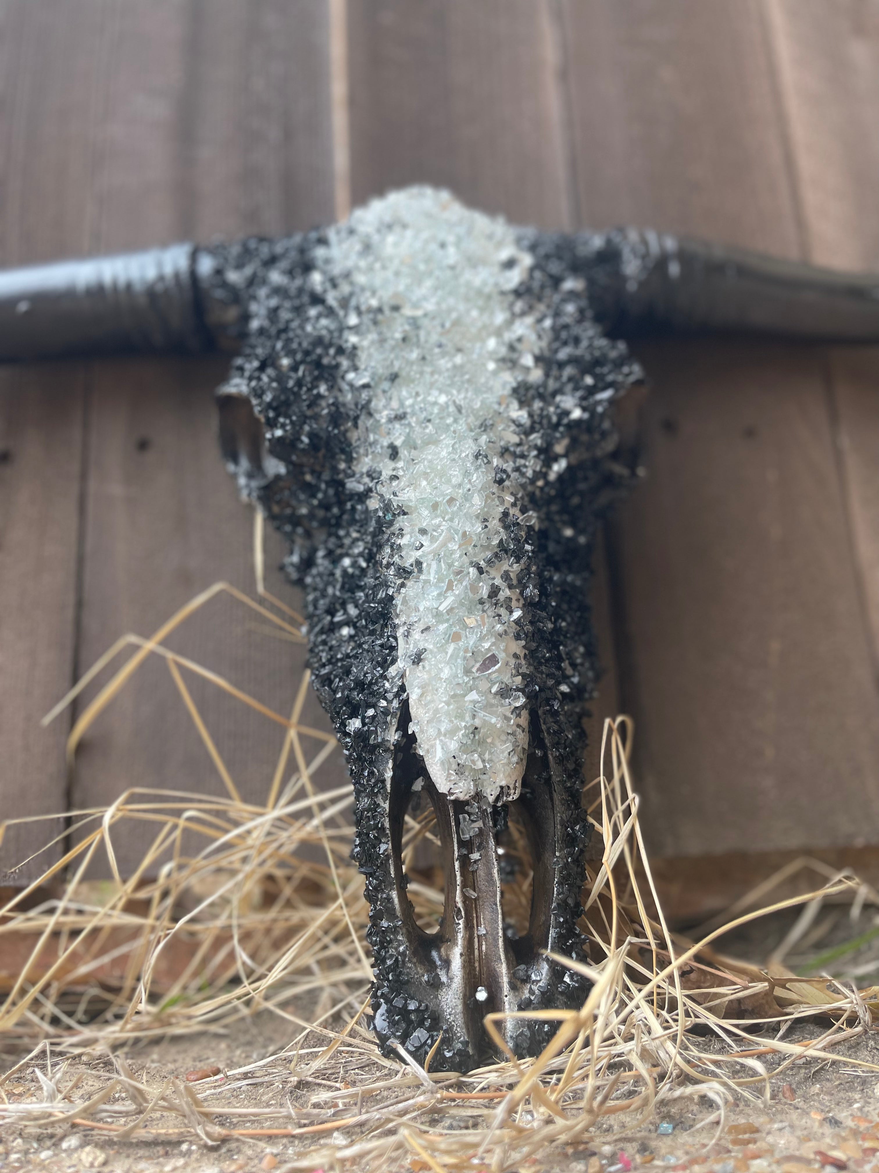 M Night Custom Cowskull - Message to Order