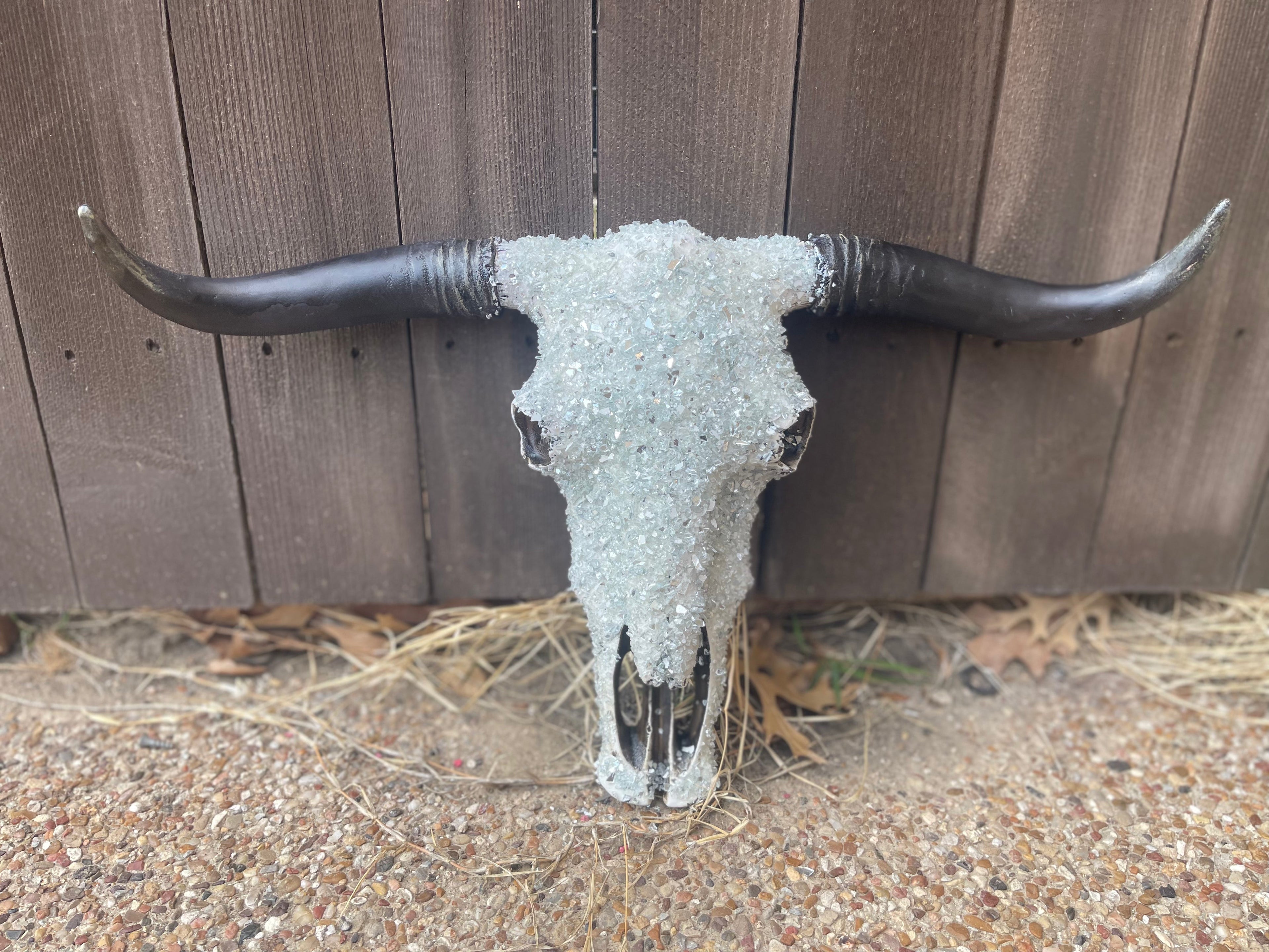 Full Stone Solid Color Cowskull - Message to order