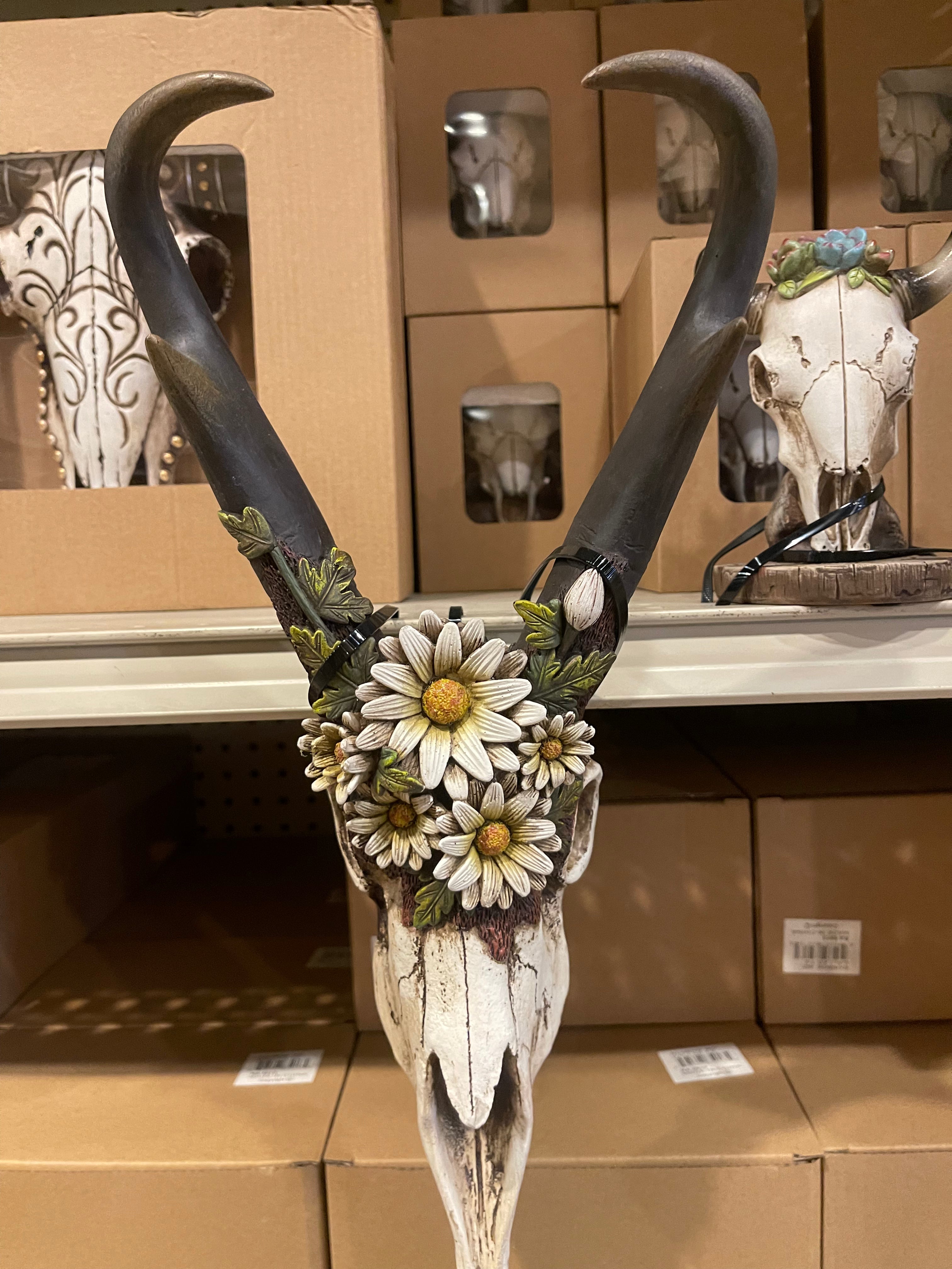Daisy Floral Skull