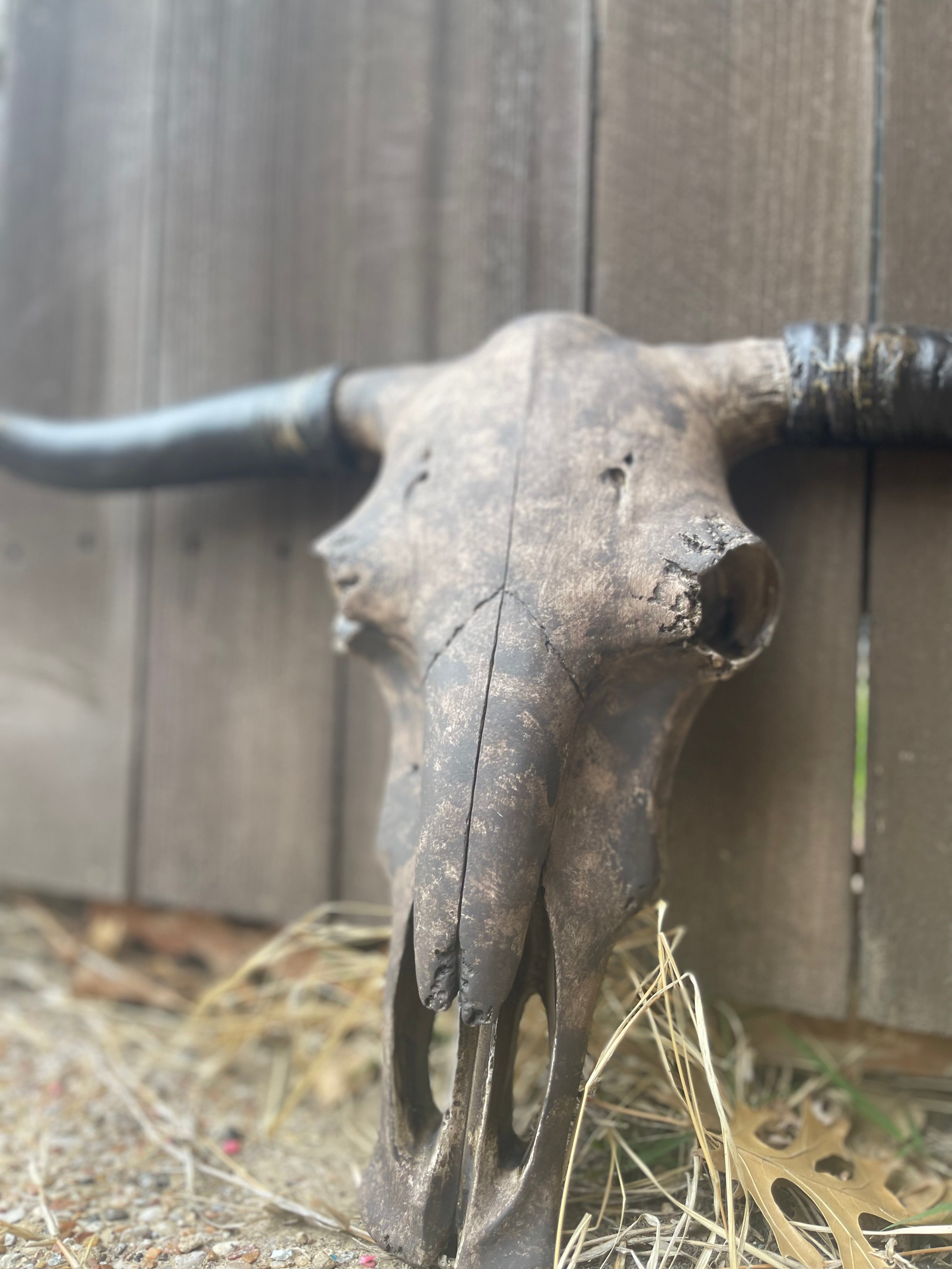 Custom Stetson Cowskull