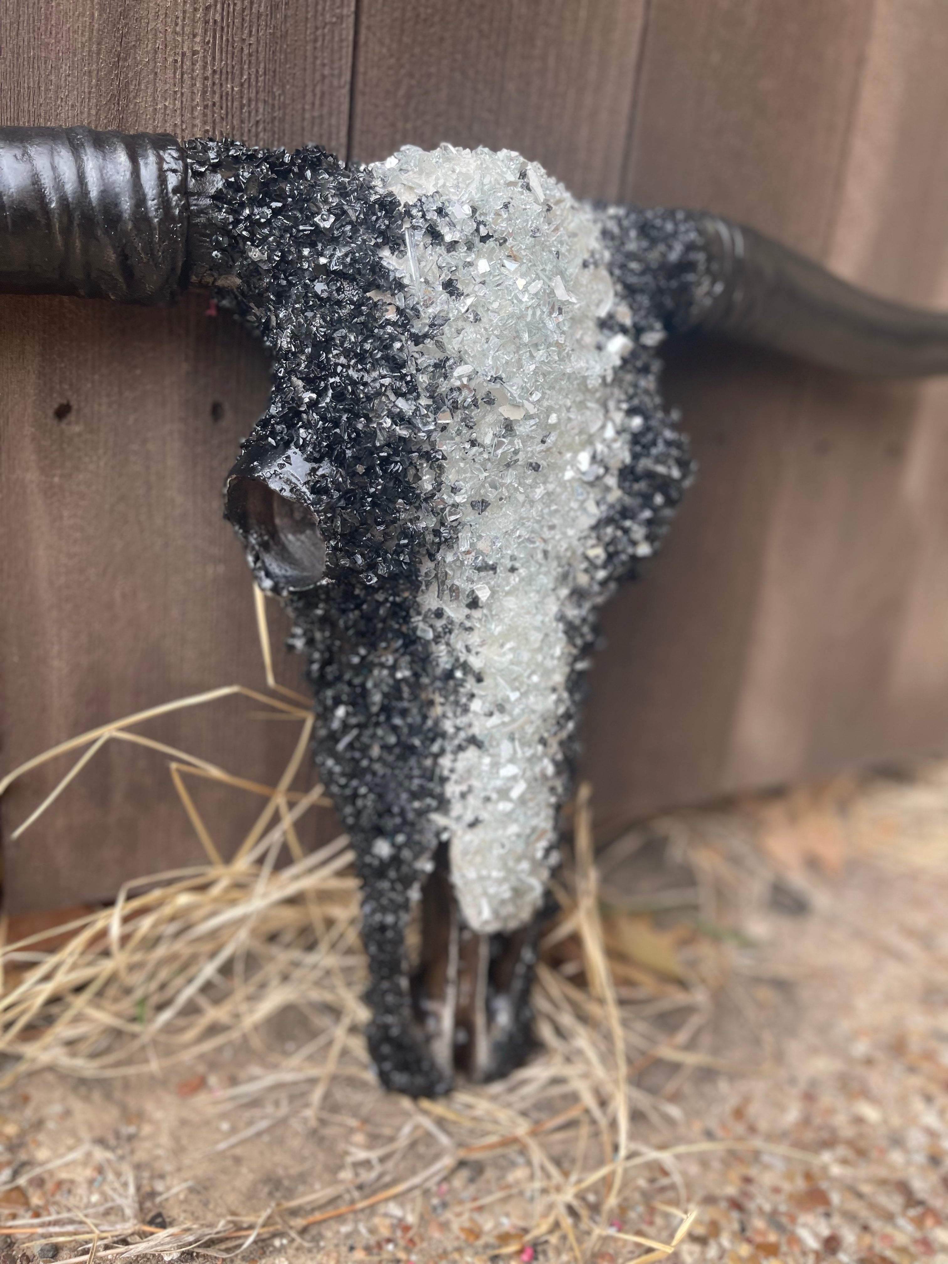 M Night Custom Cowskull - Message to Order