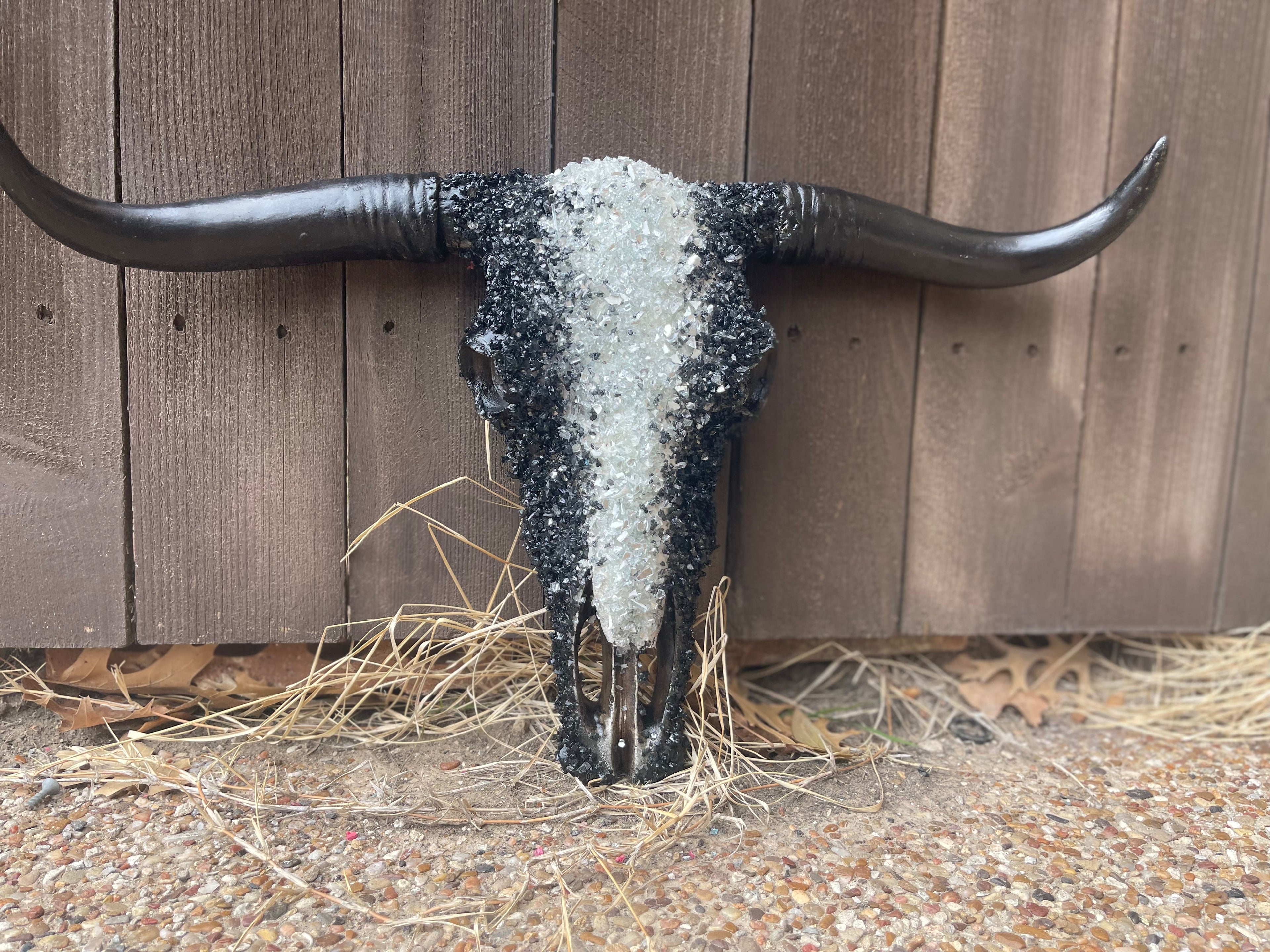M Night Custom Cowskull - Message to Order