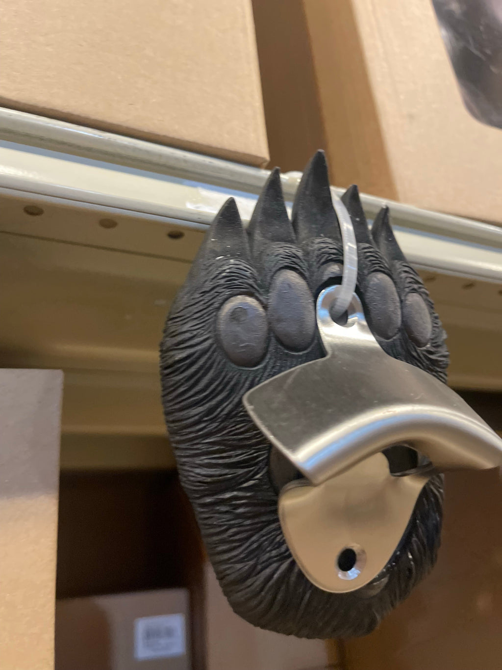 Black Bear Paw Bottle Opener