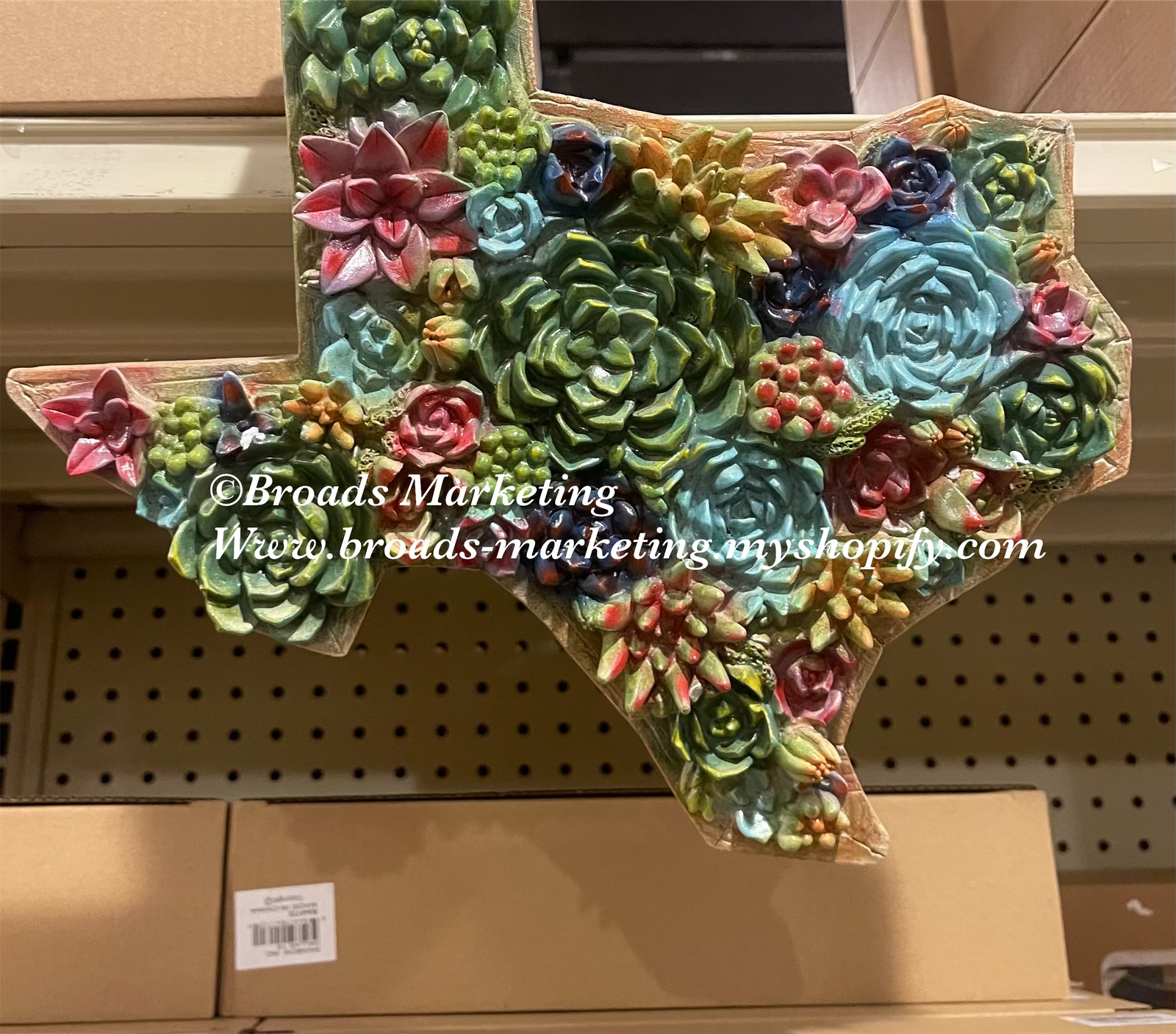 Texas Succulent Cactus Wall Decor