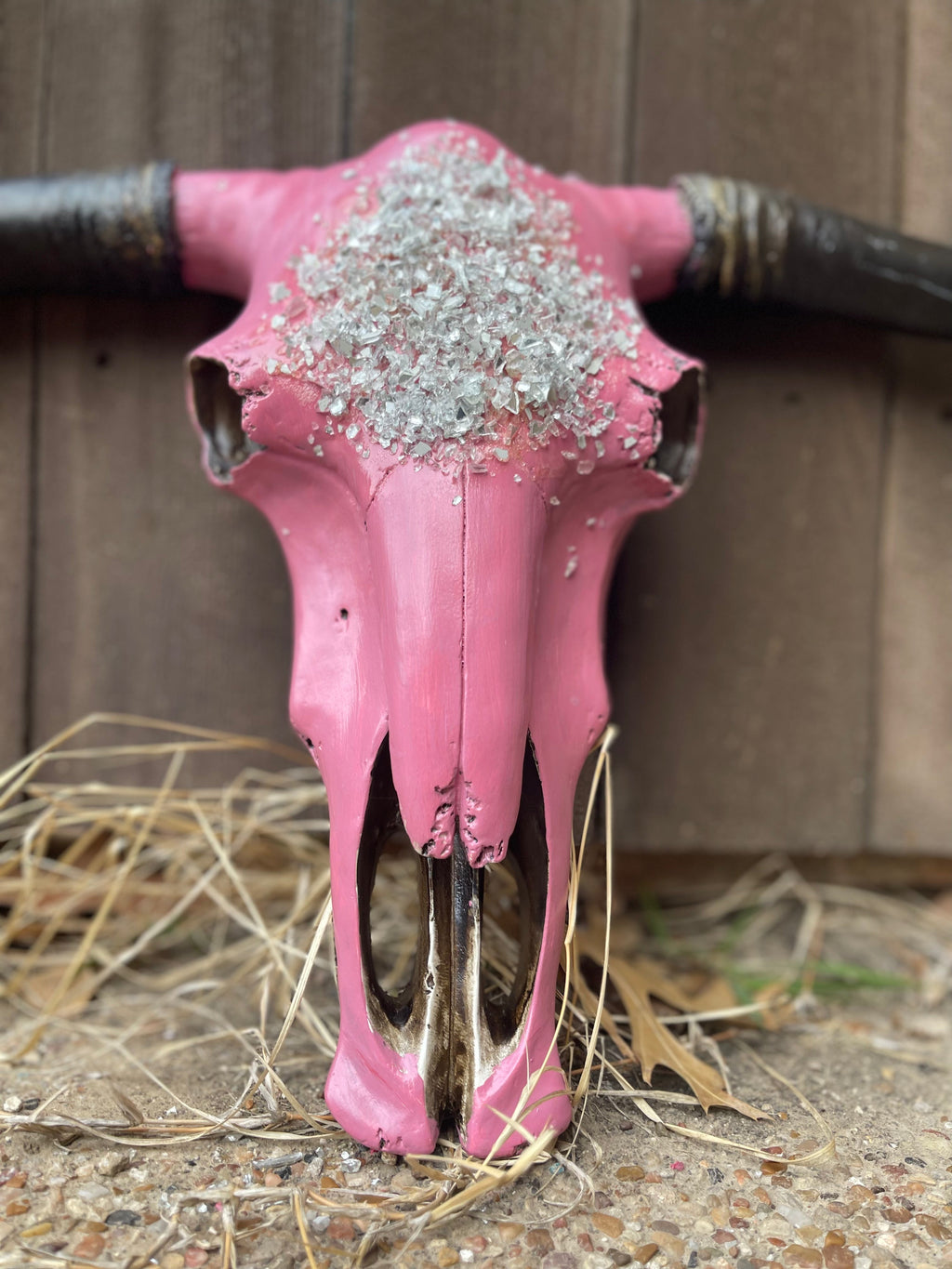 Abba Cowskull