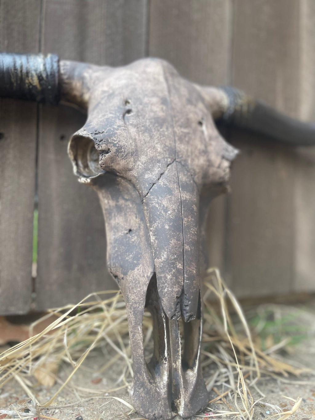 Custom Stetson Cowskull