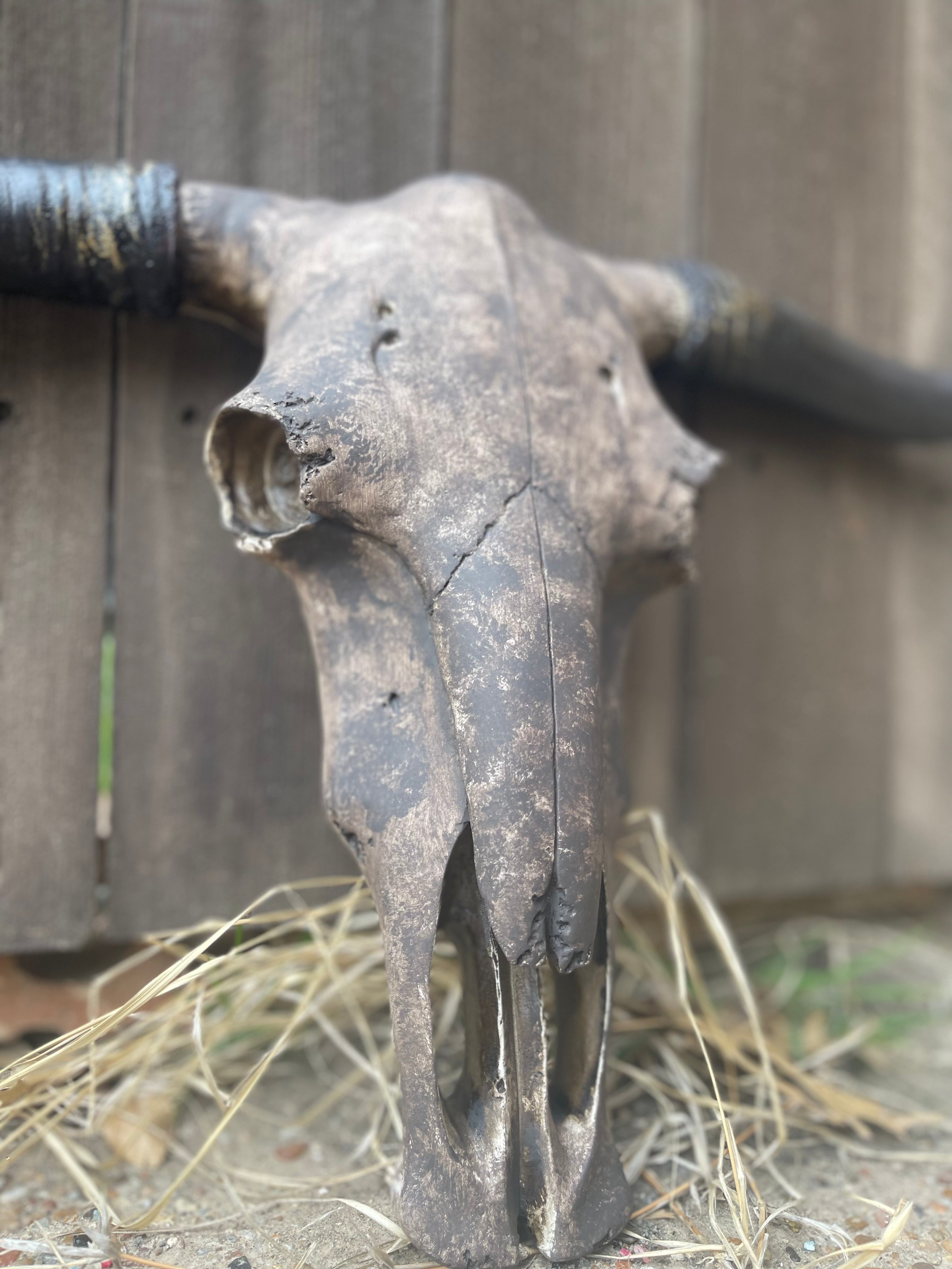 Custom Stetson Cowskull