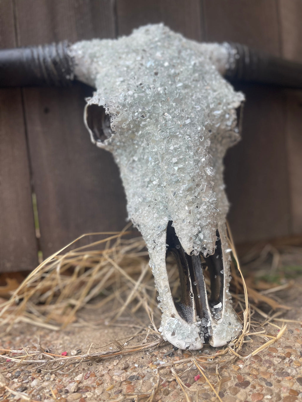 Full Stone Solid Color Cowskull - Message to order