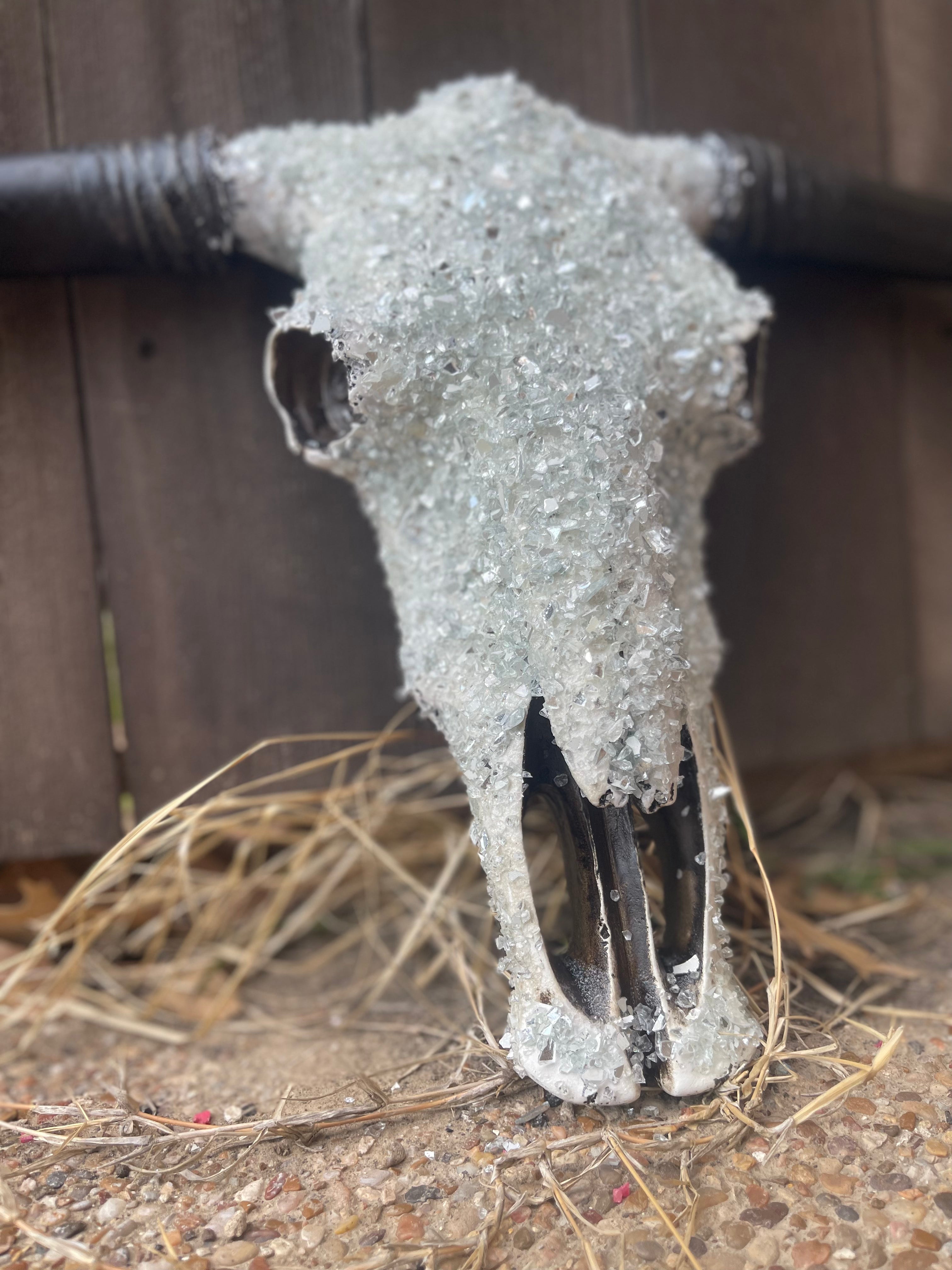 Full Stone Solid Color Cowskull - Message to order