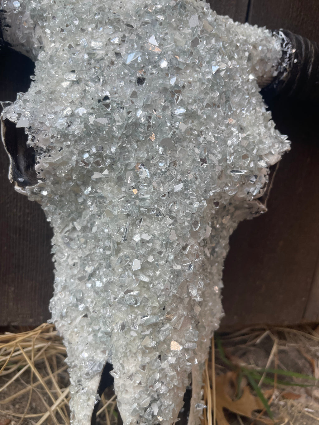 Full Stone Solid Color Cowskull - Message to order