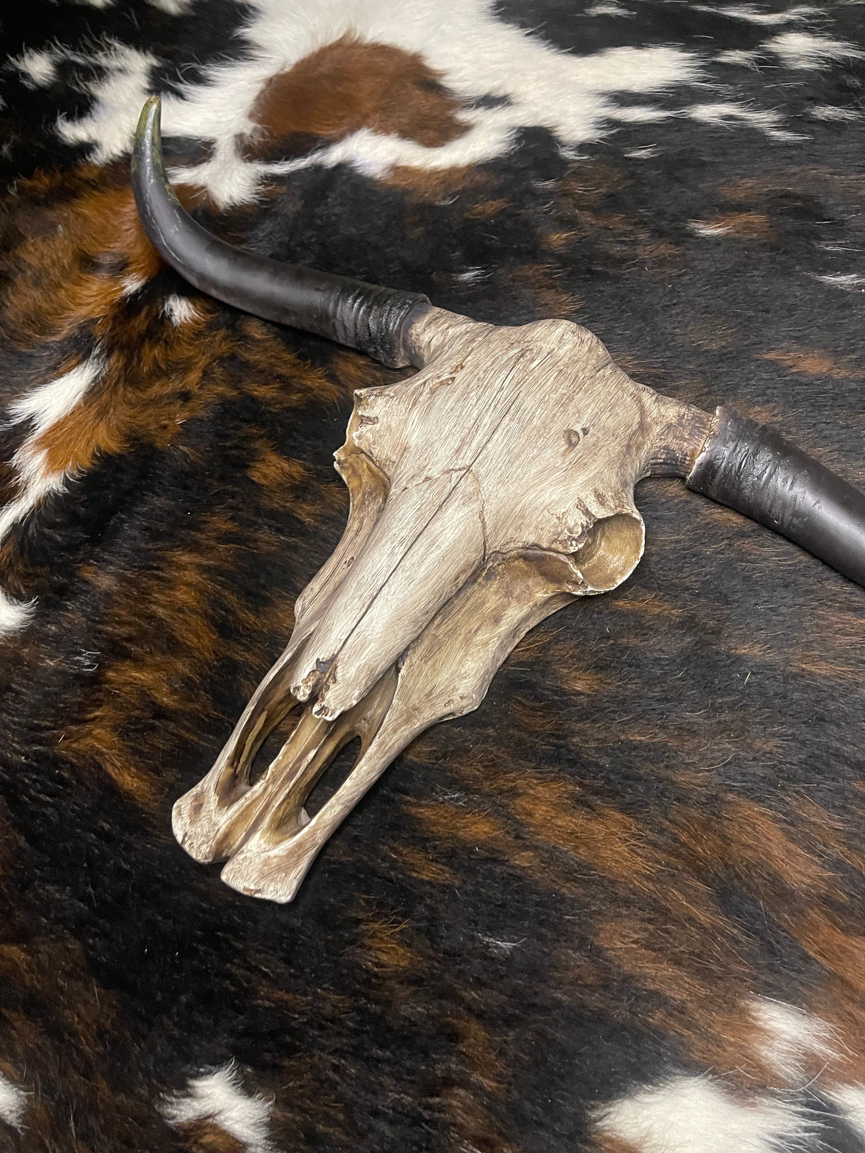 Driftwood Cowskull