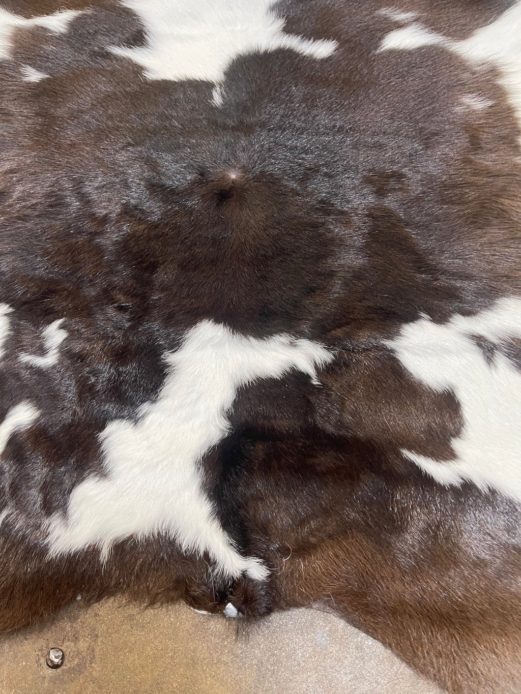 Dark Brown Cowhide Rug