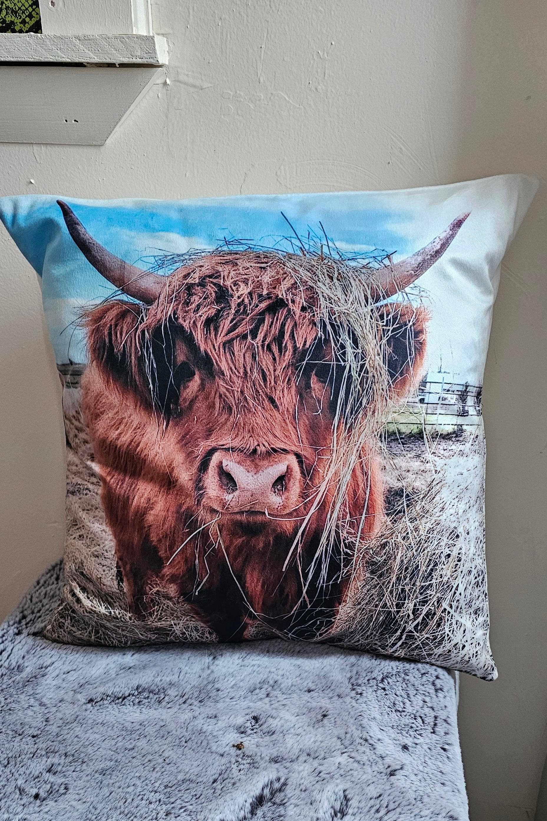 Baha Ranch CUSTOMIZABLE Velvety Soft Memorial Throw Pillow Case Made in America